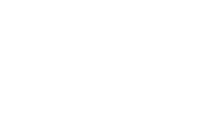 American Electric Power Logo